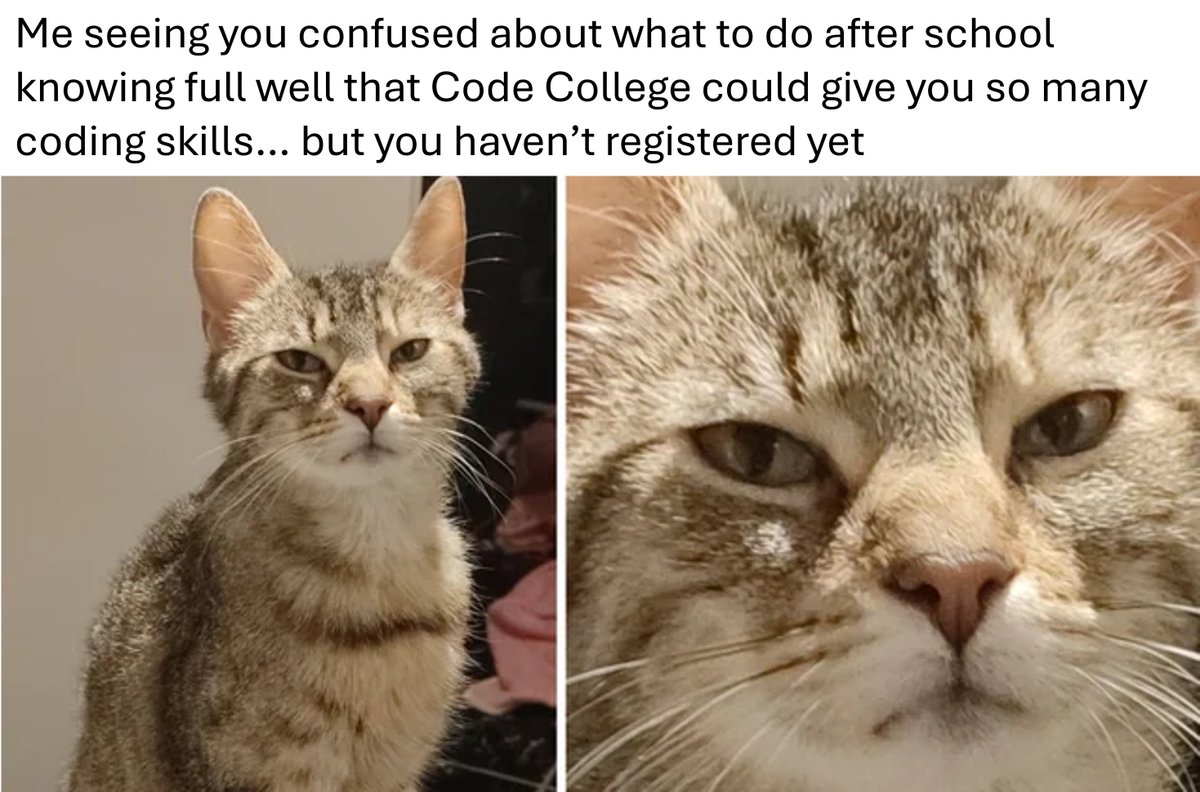 Code College ZA tweet media