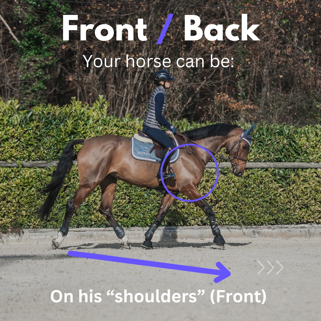 Alogo Analysis tweet media