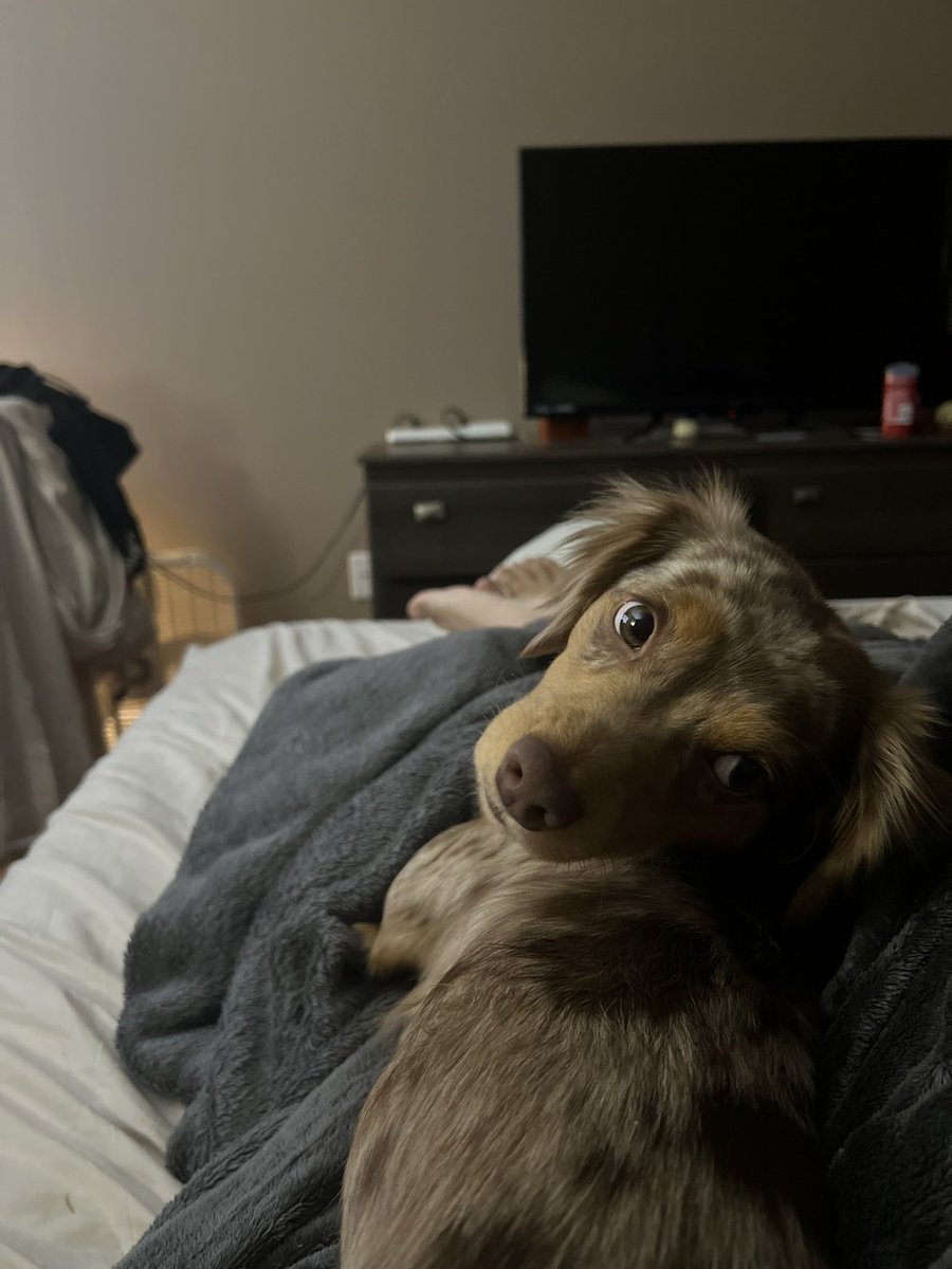 Jkugzzz's tweet photo. @Xposed Playing with my pup https://t.co/9xOhjNxgn7