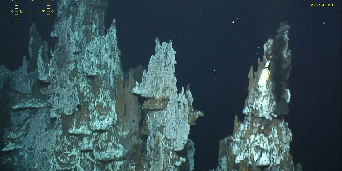 Nord de la dorsale médio-Atlantique,

Champ hydrothermal Lucky Strike,

1700 mètres de profondeur,

Edifice hydrothermal #Capelinhos 🧭