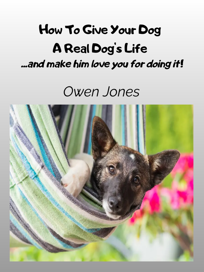How To Give Your Dog A Real Dog's Life ...and Make Him Love You For It! The more research you do before you go to choose your dog, the more likely you are to get the best dog for you and / or your family or environment. bit.ly/DogsLife-Eng-TT #booktok #doglover