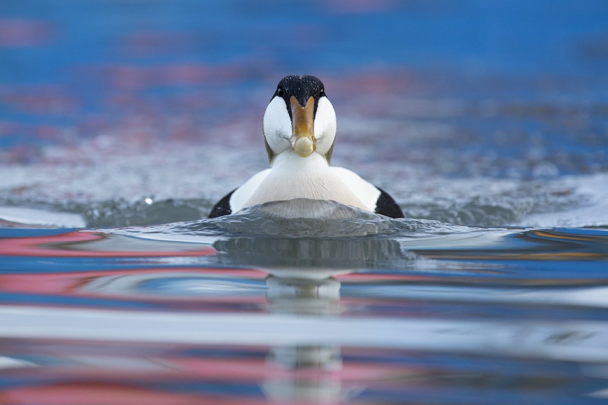 Daniel Trim tweet media