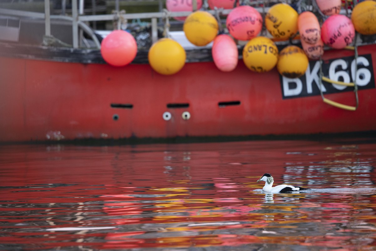 Daniel Trim tweet media