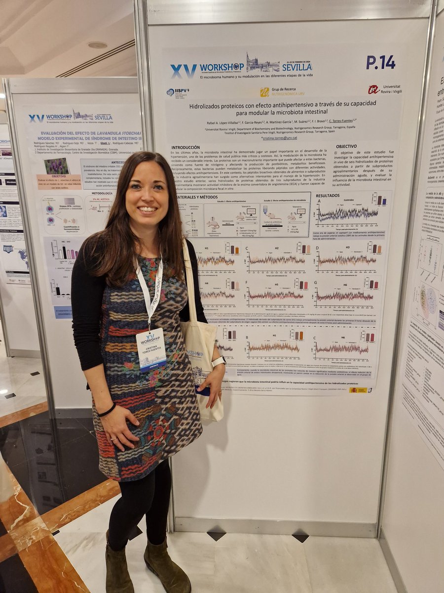 Presenting our work on protein hydrolysates, microbiota and hypertension at <a href="/SEMiPYP/">SEMiPYP</a> in my beloved city #Sevilla <a href="/bioquimicaURV/">Bioquímica URV</a>