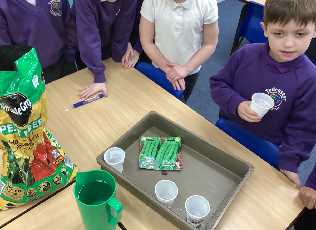 TadPrimaryAcad's tweet photo. Jupiter team learned about different plants and seeds. We know that seeds grow into plants. We planted seeds today and are curious to know how long it will take for them to germinate. #TadcasterScience @eboractrust @STEMLearningUK @Psqm_HQ @PriSciJournal @pstt_whyhow https://t.co/goIVvTOThi