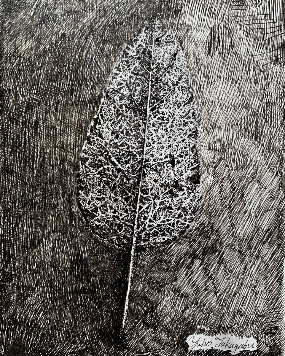 ArtworksYuko's tweet photo. “Hope”
Ink on paper 

#hope #inkdrawing #leaf #drawing #picture #painting #art #artwork #fineart #artist #ペン画 #ドローイング #アート #美術 #芸術 https://t.co/ok54mvBg5b