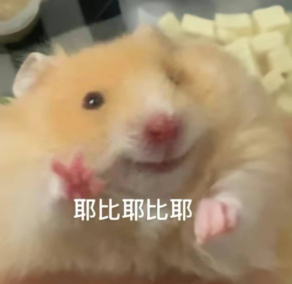 推友：入了人流回不了头
我：啊？做了人流回不了头？

推友：摸鱼
我：又被摸了

推友：两个视频导三次太爽了
我：30秒一次吗
 
好，不愧是我们！ https://t.co/euhhE6RMCM