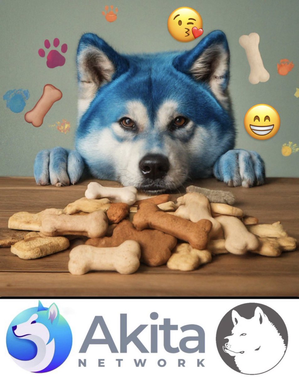 Happy #NationalDogBiscuitDay to all the goodest boys & girls!  Treat your furry friend to their fave crunchy snack today!  #TreatYoSelf #SpoilThePup #DogBiscuit #Treats #Cookies #Biscuits #AKITA #memecoin #Ethereum #Avalanche #EthereumMerge #Bitcoin