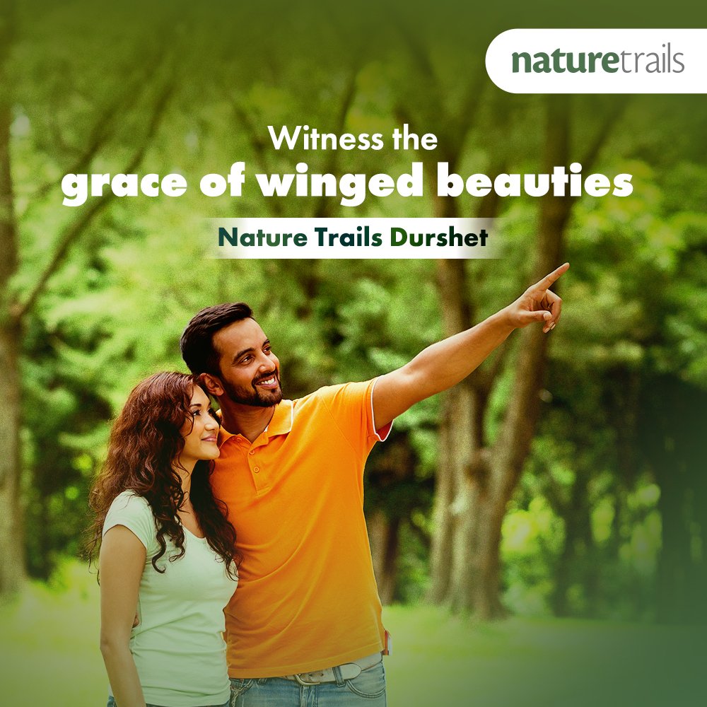 Naturetrailss's tweet photo. Get ready to immerse yourself in the captivating charm of #birds at #NatureTrails #Durshet. Indulge in #birdwatching and #experience #nature like never before.

Book Now: https://t.co/IMDoGOEJGG

#Mumbai #Pune #ExploreOutdoors #NatureLovers #NaturePhotography #Birdphotography https://t.co/IJxZE1zMyY