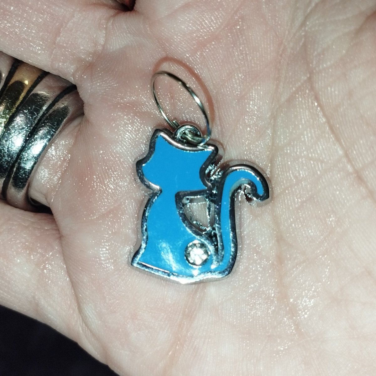 SayloinRiki's tweet photo. Pingent Cat 
😺🩵✨⛓️
.
#pingent #cat #bluecat #catchain https://t.co/tSvfPebH0u
