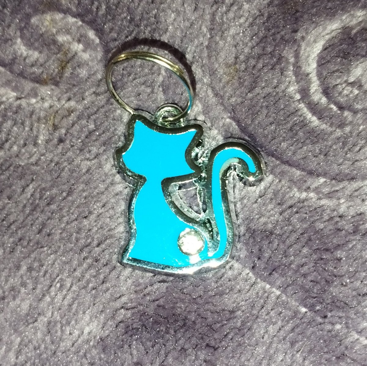 SayloinRiki's tweet photo. Pingent Cat 
😺🩵✨⛓️
.
#pingent #cat #bluecat #catchain https://t.co/tSvfPebH0u