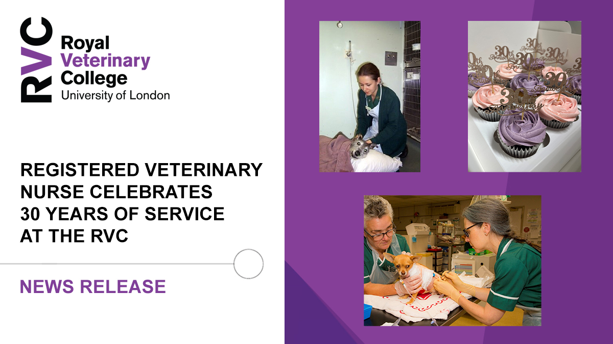 Royal Veterinary College (RVC) tweet media