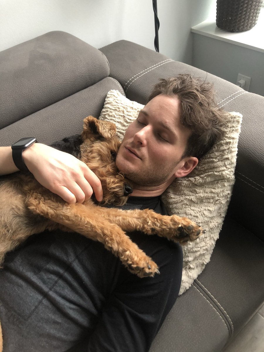 JonMcLaren's tweet photo. ‼️ HUDDLE UP ‼️

I actually don’t care what this takes… Twitter friends can we RT this to the power of a gazillion in honour of my sweet Jack. He was my Cosmo, the bestest boi, and I need this for our stream! ❤️🐶

@NerdOrDieCom #jackypoos #mansbestfriend #welshterrier https://t.co/2O6ARyk7ZX