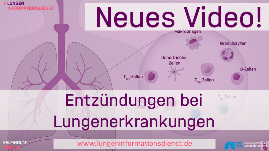 🥳Wir haben ein schönes, neues Erklärvideo🥳

✅Darin erklären wir, welche Rolle #Entzündungen bei #Lungenerkrankungen spielen.

👉Hier geht es zum #Video: youtu.be/rw4x2reWvMo
 
Wir freuen uns über Likes und Kanal-Abos 😉

#Lunge