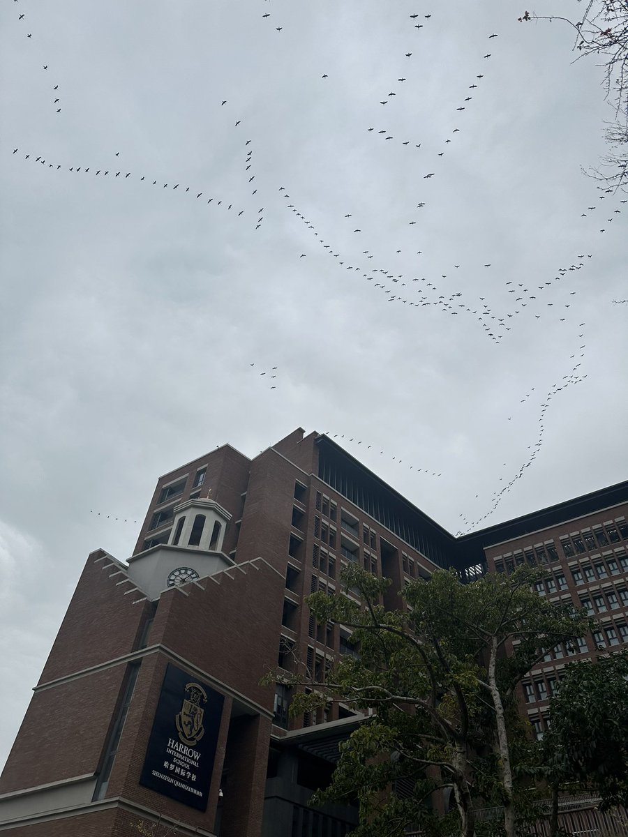 James Berry tweet media