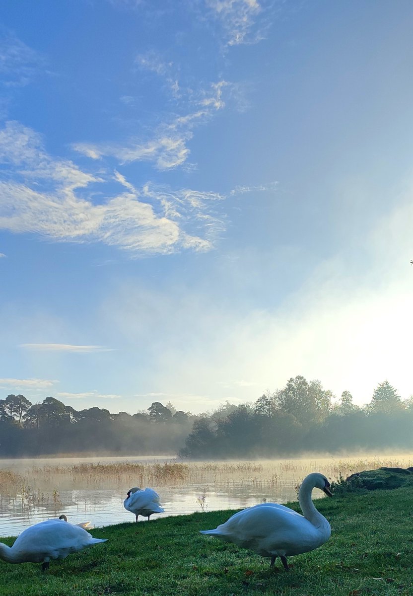 Emo Court tweet media