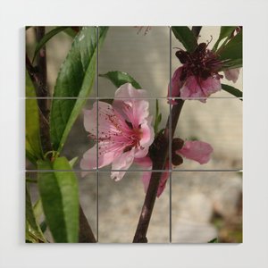 Pink Peach Blossom #iPhoneCase #taiche #Society6 #marchflowers #flowers #spring #march #springishere #springflowers #springblossom #blossom society6.com/product/pink-p…
