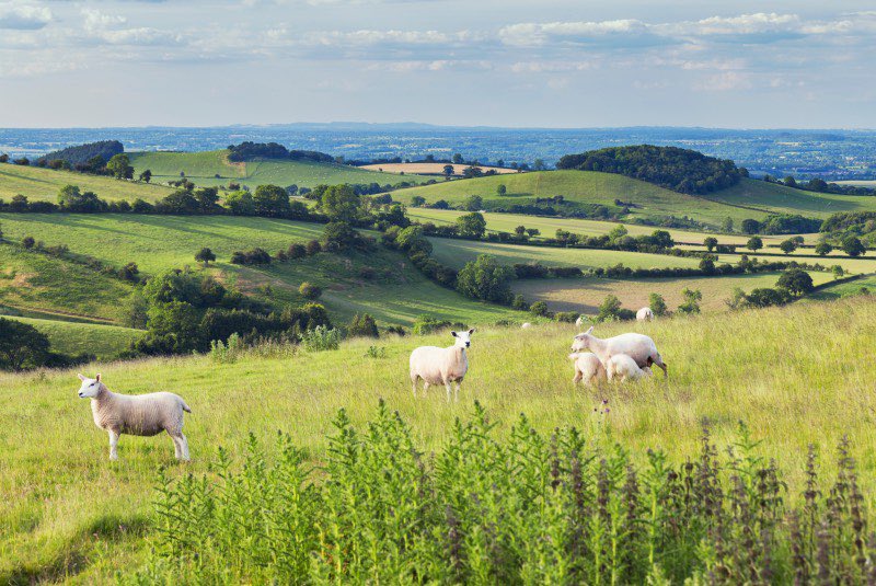 Wishing residents and visitors a Happy Shropshire Day. #LoveShropshire @ShropCouncil