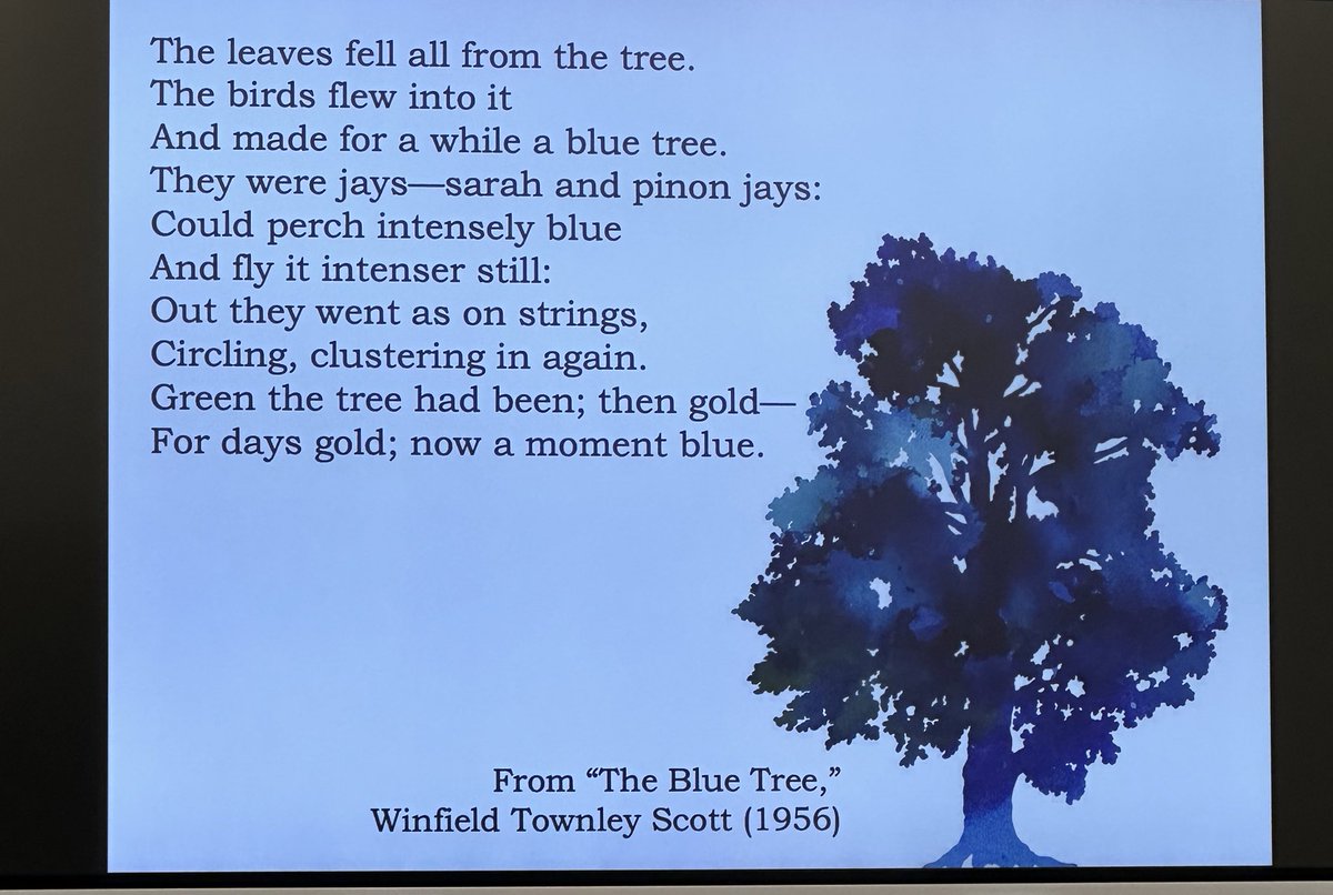 LiteracyLambert's tweet photo. My afternoon with Wes Gordon and the cohort of teachers that have chosen to work on ACS’s writing plan was so edifying. I’m in awe of this process that Gordon has led to ensure writing instruction is intentional and purposeful in @AuburnCityEdu. #bluetrees #thewritework https://t.co/w2ltutHPKW