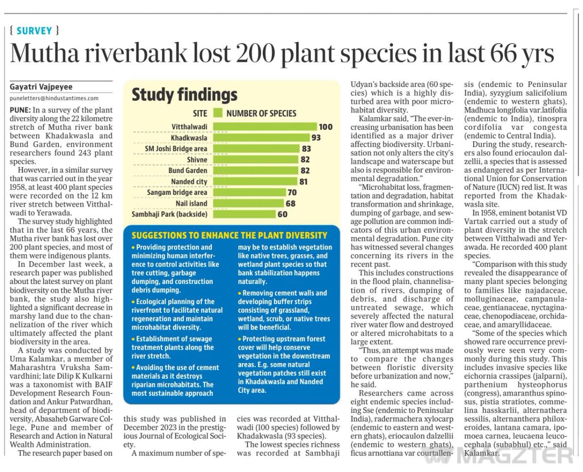 At least 200 plant species disappeared from the #Mutha River bank in #Pune in the last 66 years, revealed the study. Reasons? We all know that right? More disruption is on its way. @moefcc @CMOMaharashtra @CPCB_OFFICIAL @mpcb_official @Jeevitnadi #environment #conservation