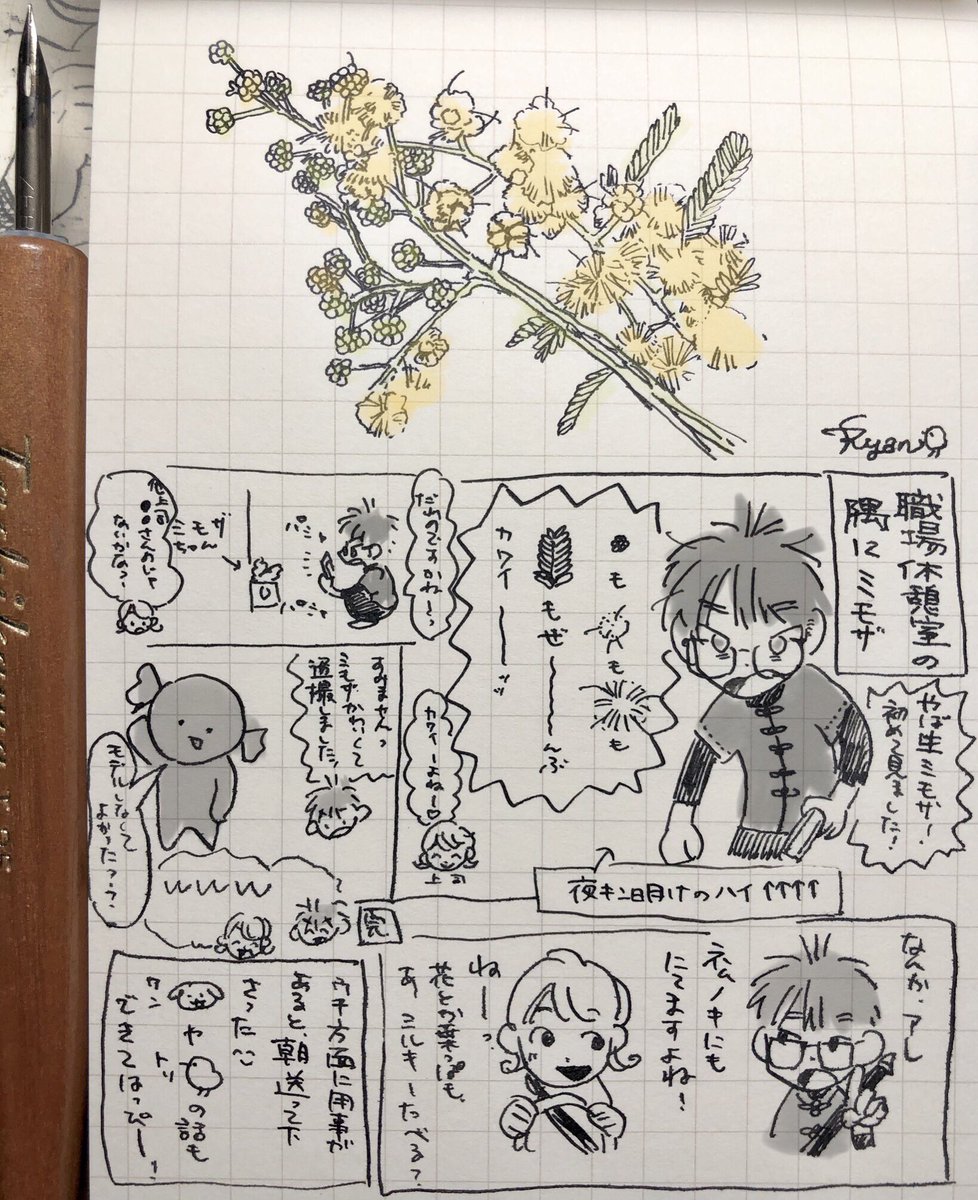 ぱやぱやの花‼️(日記) 