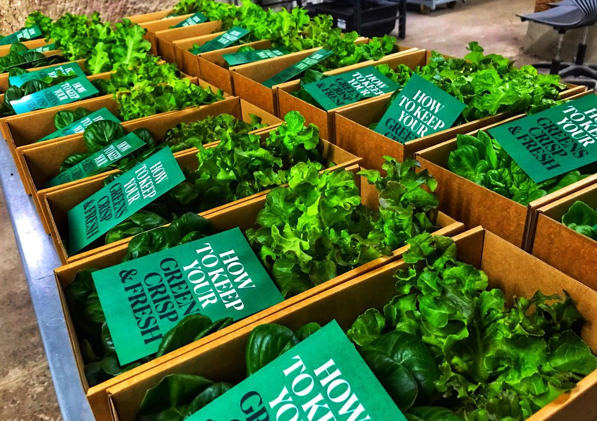 Exciting news for Farm Urban, who are entering into a three year partnership with The Mailing Room through 1% for the Planet.

The partnership will allow Farm Urban to deliver one of their bespoke Flourish ESG programmes 🍃

#liverpoolbusiness #positivebusiness #positiveimpact