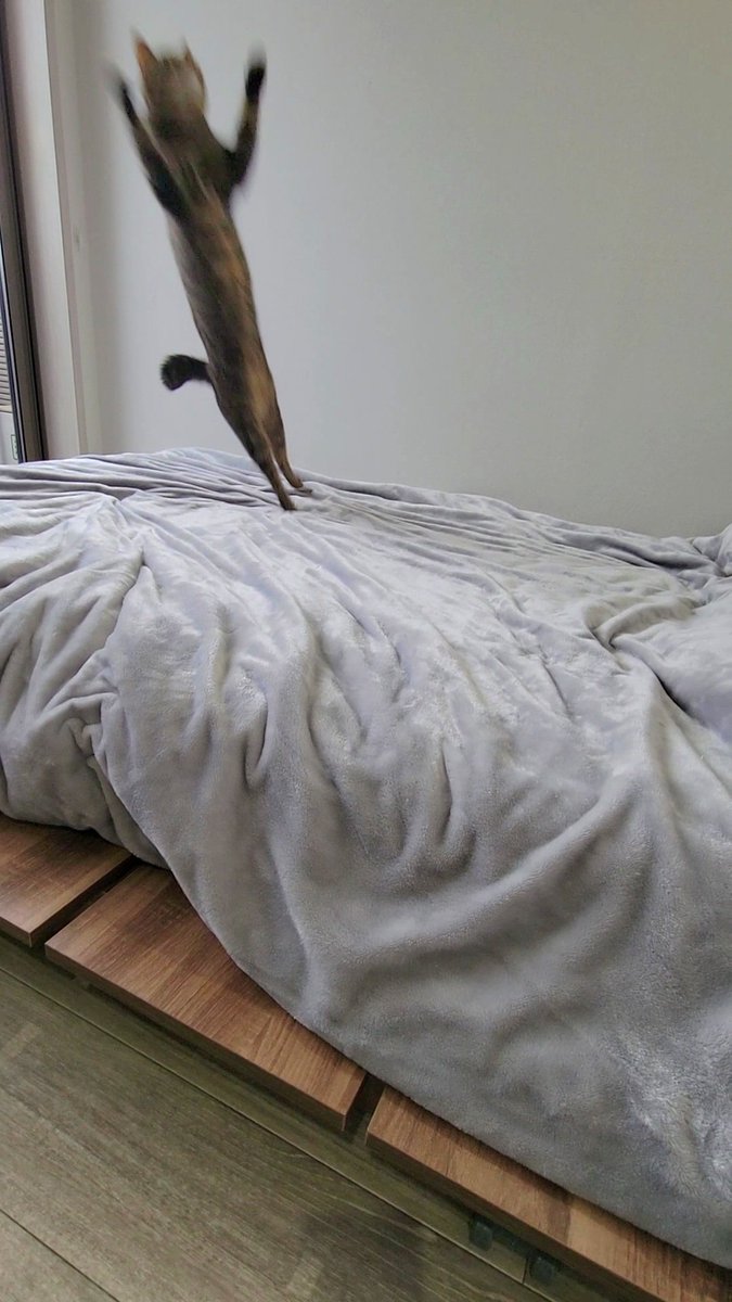 🌸白蛇🌸 (@70477) / Posts / X