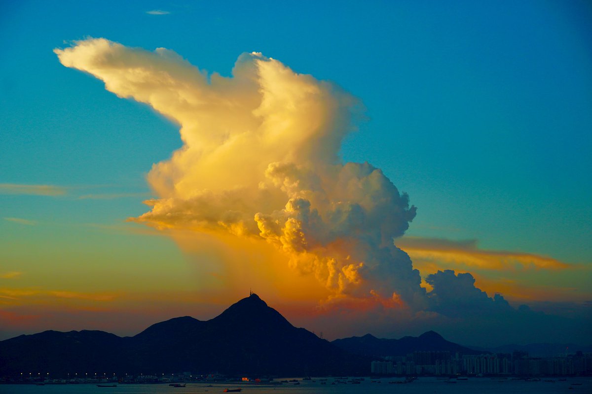 Julian Haynes tweet media