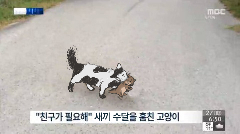 주피 (@eocpfhgmfla1) on Twitter photo 