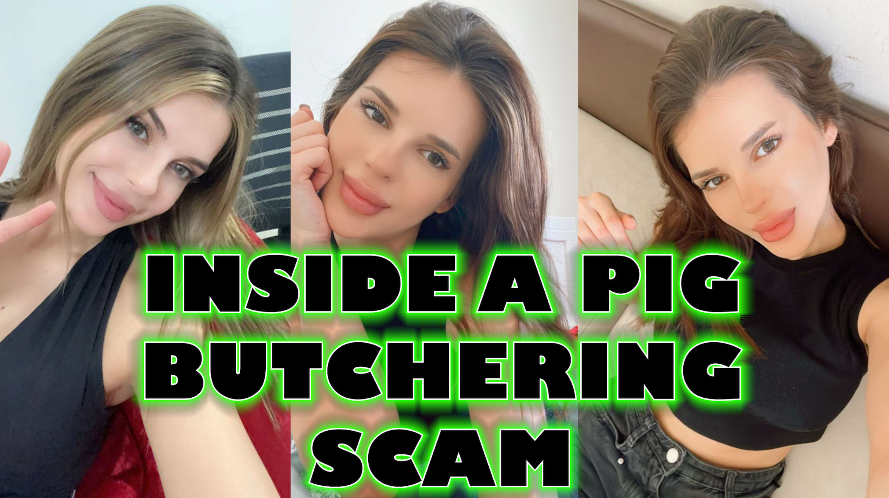 New video on Sunday 25th Feb at 19:00 GMT INSIDE A PIG BUTCHERING SCAM... Thanks to some under-cover filming, we see what's behind the most cruel of Internet scams. youtu.be/vu-Y1h9rTUs (live soon) Patrons can see this unblurred right now.