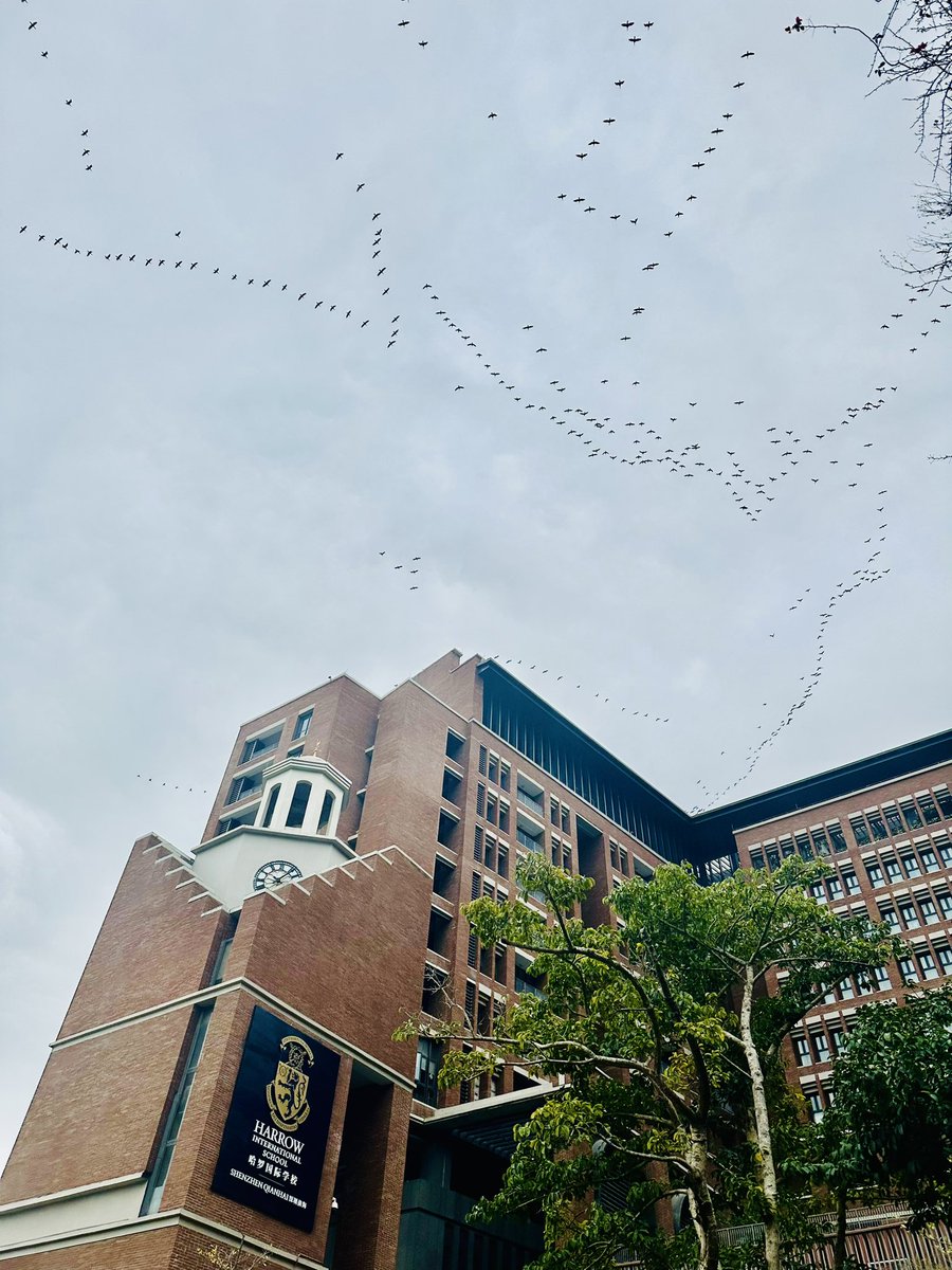 James Berry tweet media