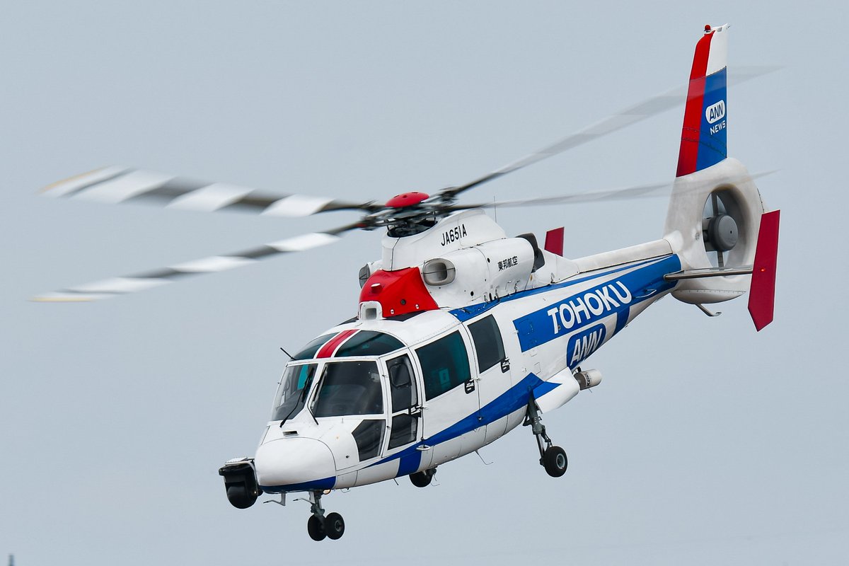 SuKuym8XeXh57DO's tweet photo. 2024.2/23 RJSS/SDJ
東邦航空•AS365N2•JA651A
東邦航空•AS355F2•JA6603
#仙台空港 #RJSS #東邦航空 #JA651A #JA6603 #AS365 #AS355 https://t.co/Ko18nYmZei
