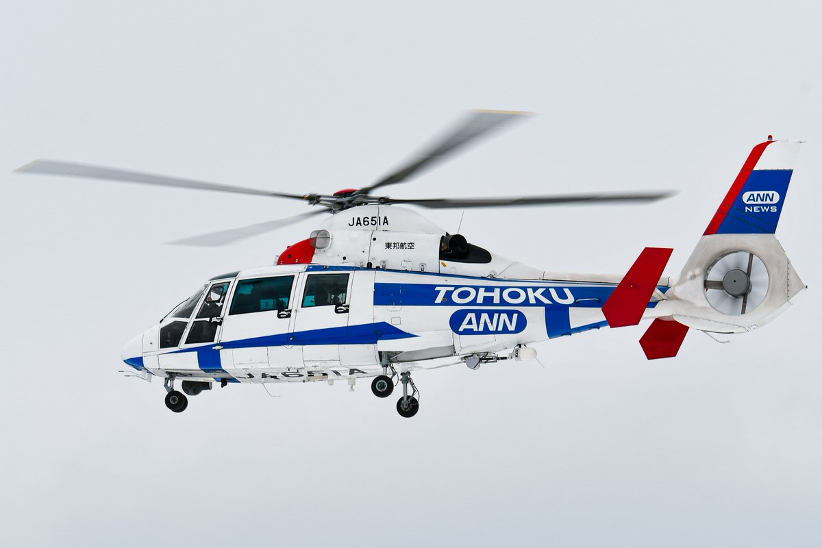 SuKuym8XeXh57DO's tweet photo. 2024.2/23 RJSS/SDJ
東邦航空•AS365N2•JA651A
東邦航空•AS355F2•JA6603
#仙台空港 #RJSS #東邦航空 #JA651A #JA6603 #AS365 #AS355 https://t.co/Ko18nYmZei