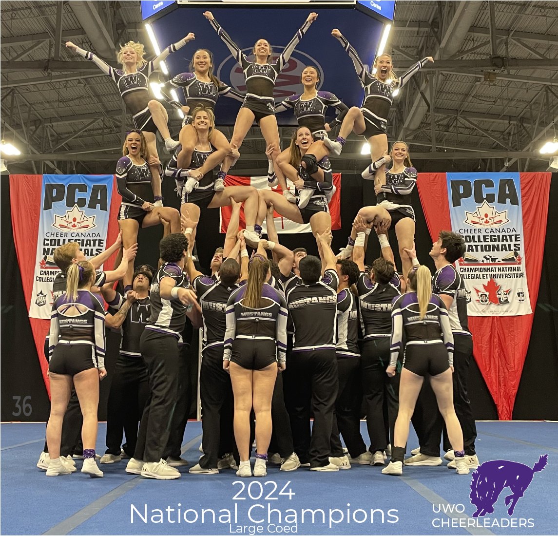 Cheer Western (@cheerwestern) on Twitter photo 