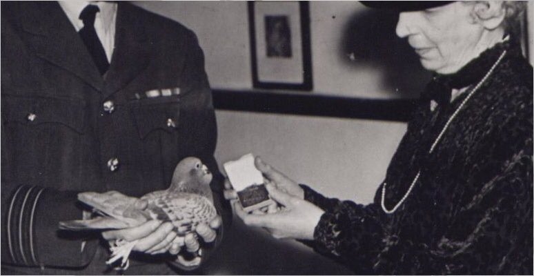 OC 42(TB) Sqn tweet media