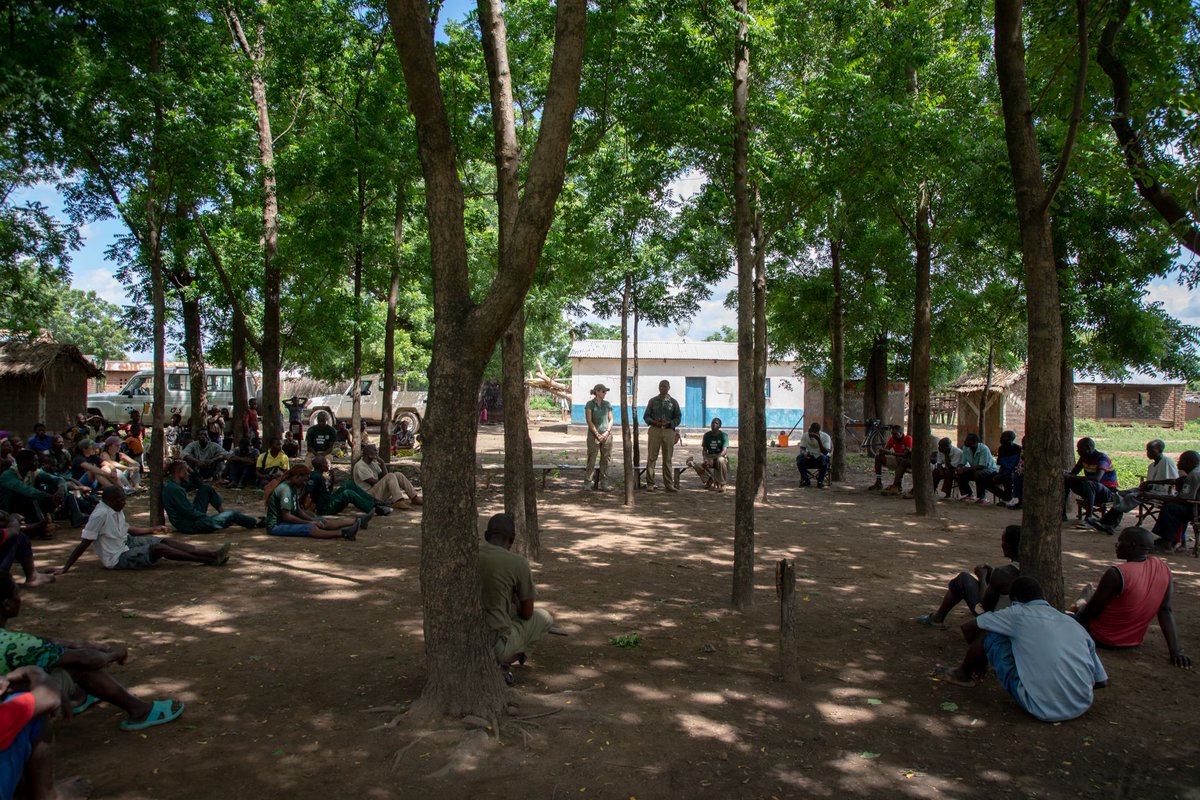 AfricanParks's tweet image. Majete Wildlife Reserve, Malawi has partnered with the local community to propagate indigenous trees, which are then planted around the reserve. These trees have grown over the years to contribute to the ecosystem. More here: bit.ly/3wpkawq