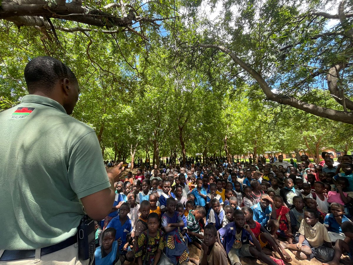 AfricanParks's tweet image. Majete Wildlife Reserve, Malawi has partnered with the local community to propagate indigenous trees, which are then planted around the reserve. These trees have grown over the years to contribute to the ecosystem. More here: bit.ly/3wpkawq