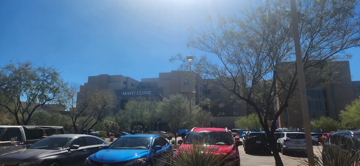 Beautiful day for the Kern Scholars Educational Intensive in Phoenix AZ