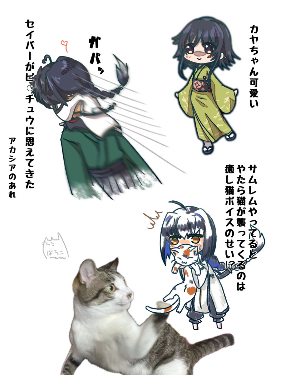 サムレム中
Bボタン(ジャンプ)は封印とあいなった
酔う
くっそざっこプレイヤーの縛りプレイ
猫の襲いくる原因が判明した
今回あんま進んでない
#FateSR #FateSR_Art