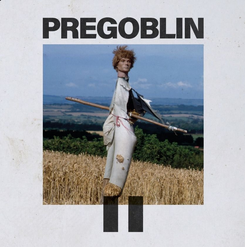 PREGOBLIN II IS OUT NOW. The debut album from @PREGOBLINTV is the latest off the production line x Please listen, enjoy & share ♥️ 🎧 found.ee/PREGOBLINII