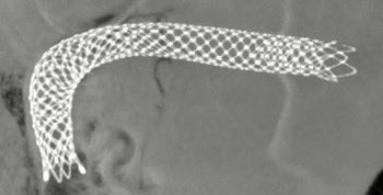 Jessica Campos, MD tweet media