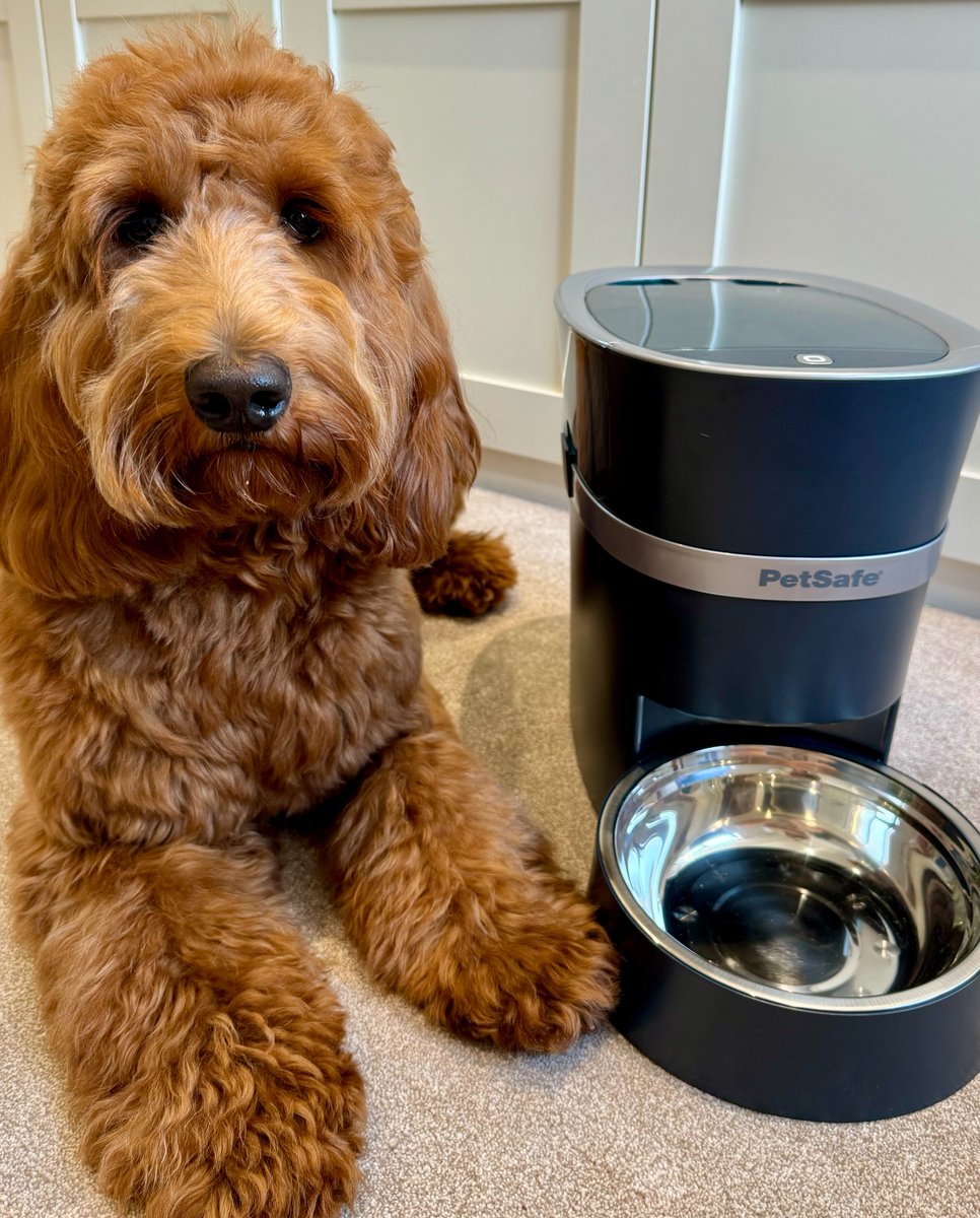 PetSafe UK (@petsafeuk) on Twitter photo Giveaway 🐾
Want to win the Smart Feed Automatic Pet Feeder? 🐶 🐈
To enter: retweet, comment and follow <a href="/PetSafeUK/">PetSafe UK</a>
#Giveaway #Competiton Giveaway 🐾
Want to win the Smart Feed Automatic Pet Feeder? 🐶 🐈
To enter: retweet, comment and follow <a href="/PetSafeUK/">PetSafe UK</a>
#Giveaway #Competiton