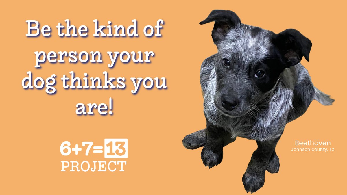 6713Project's tweet image. #gotstress #philippians4:13 #philippians4:6-7 #bekind #yougotthis #managestress