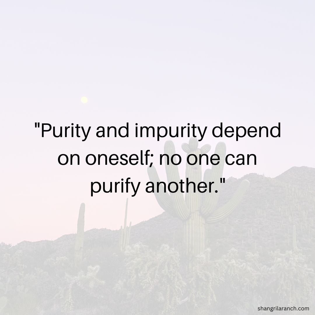 SLRNude's tweet photo. Take ownership of your journey: You can pave the path to purity through personal discipline and commitment. No one else can do it for you! #PurityWithin #BeTheChange https://t.co/jDtUoMBwUV https://t.co/UJ5iYsjyVO