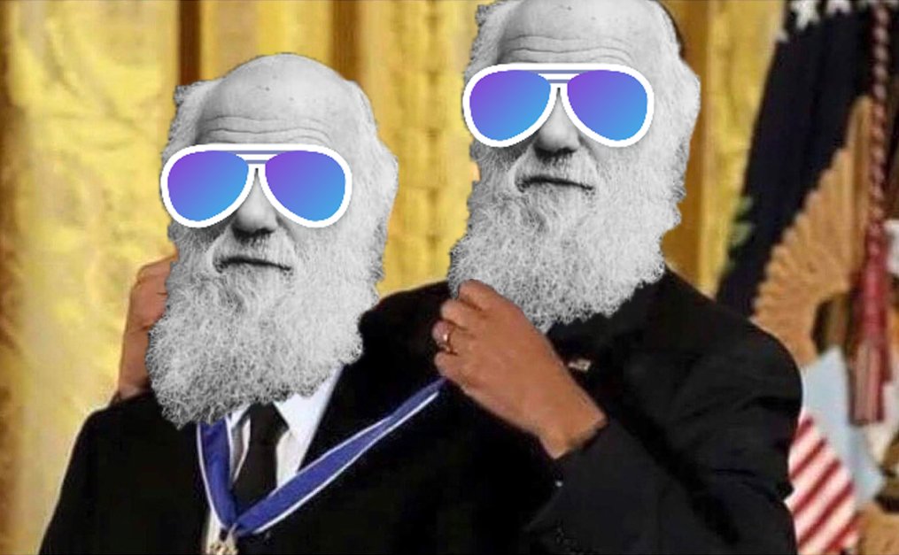 FACEIT Community Support tweet media