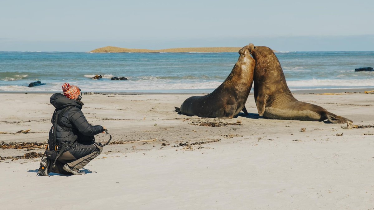 EARTHSOUNDS was filmed over 3 and a half years, with crews travelling to all 7 continents to uncover and record over 3000 hours of sounds from the natural world. EARTHSOUNDS brings to life a world you'll have never heard before! Streaming now on @AppleTV