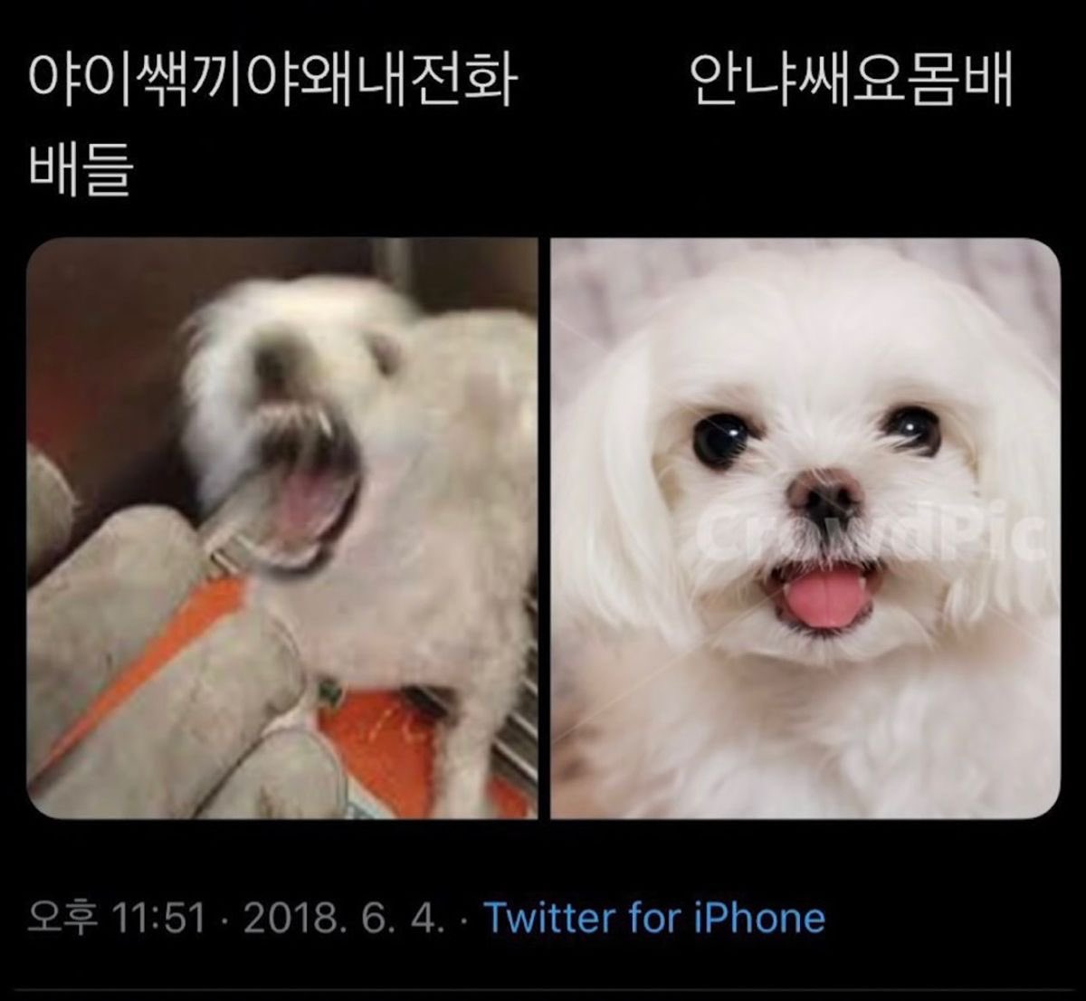 누구인지 아시겠나요