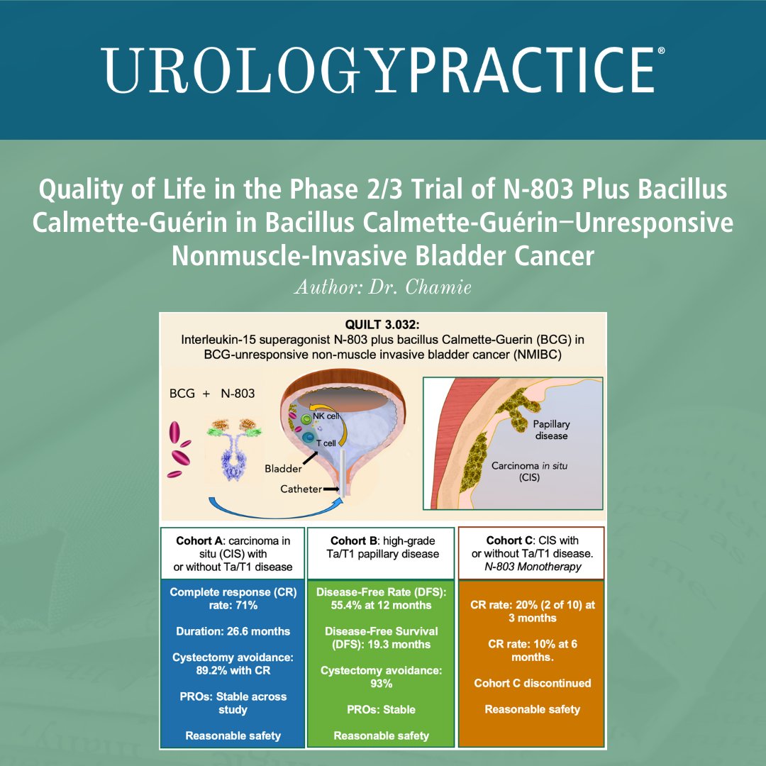 Check out this amazing Visual Abstract from the May issue of UPJ! 📰 Quality of Life in the Phase 2/3 Trial of N-803 Plus Bacillus Calmette-Guérin in Bacillus Calmette-Guérin‒Unresponsive Nonmuscle-Invasive Bladder Cancer Read the full article here ➡️ bit.ly/49NTIeh