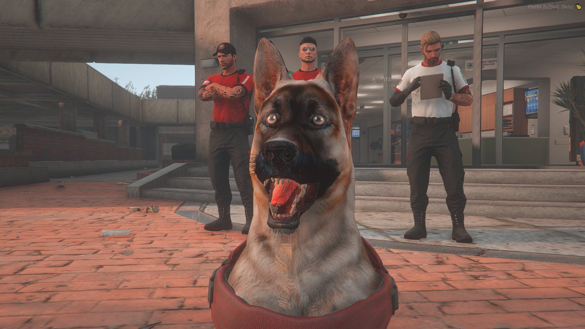 TeamAstures's tweet image. Buenos dias (alegre)