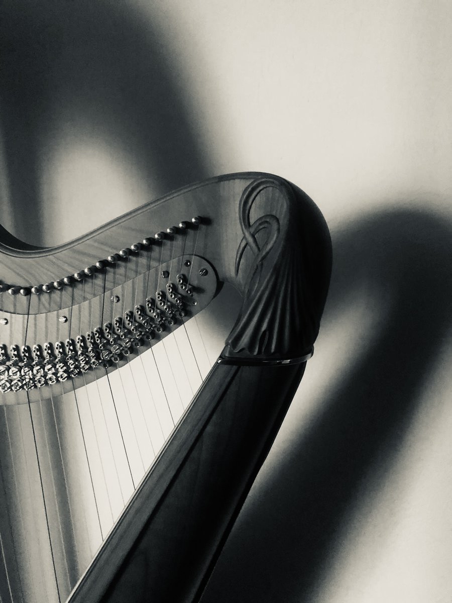 We (and rather a lot of harps) are packed and off to Limoges. The Concours Français de la Harpe is holding its 13th edition this weekend! 🏆   We're delighted to be one of the sponsors of this fabulous competition, and look forward to seeing you in Limoges! 🗓
